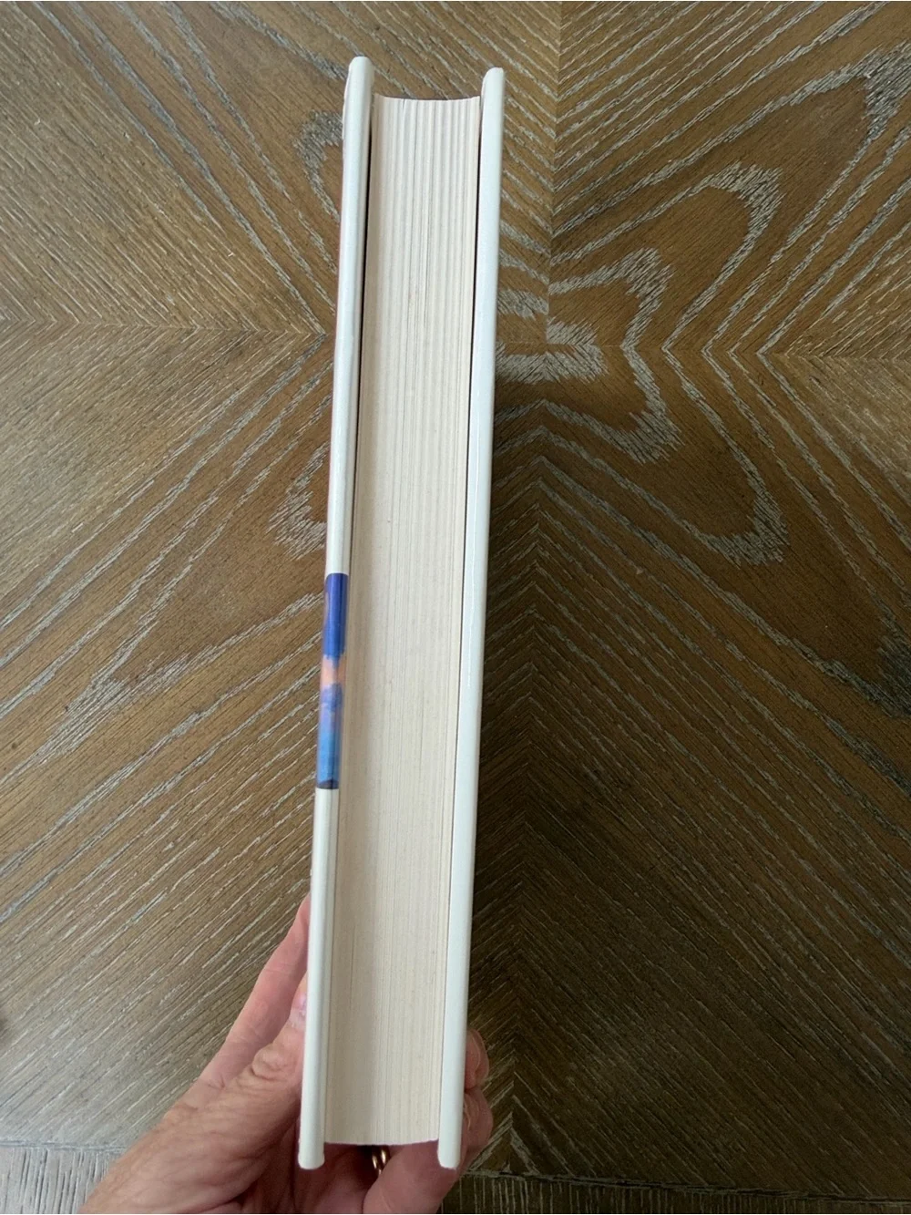 Both ends of the night, Marsha Mueller, hardcover